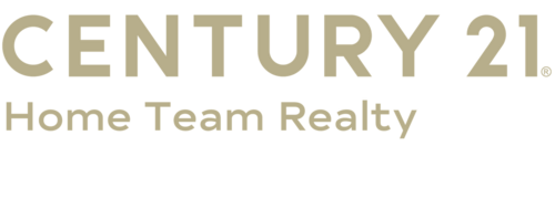 C21 Logo