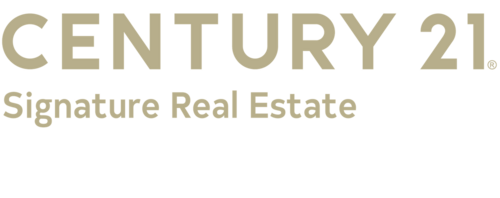C21 Logo
