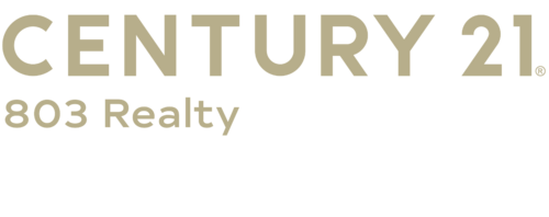 C21 Logo