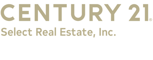 C21 Logo